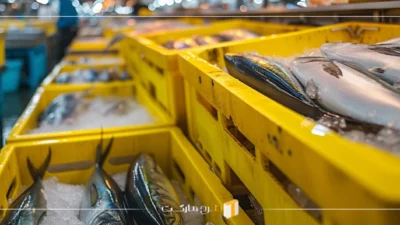تحلیل اقتصادی و فنی راهاندازی یک واحد پرورش ماهیان گرمابی
