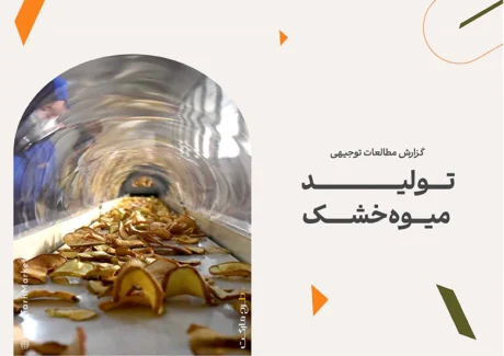 طرح توجیهی تولید میوه خشک