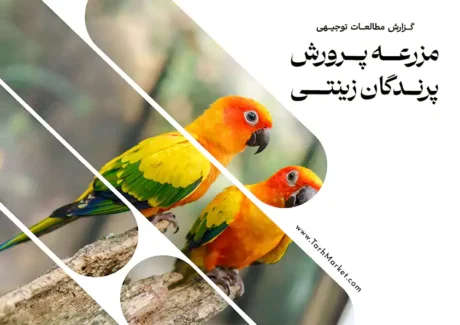 طرح توجیهی مزرعه پرورش پرندگان زینتی