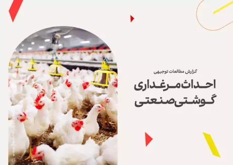 طرح توجیهی احداث مرغداری گوشتی صنعتی