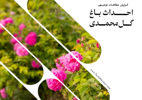 طرح توجیهی احداث باغ گل محمدی