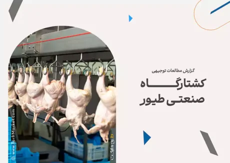 طرح توجیهی احداث و بهره برداری کشتارگاه صنعتی طیور با ظرفیت تولید 2000 قطعه در ساعت