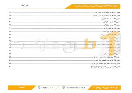 طرح توجیهی بسته بندی تی بگ