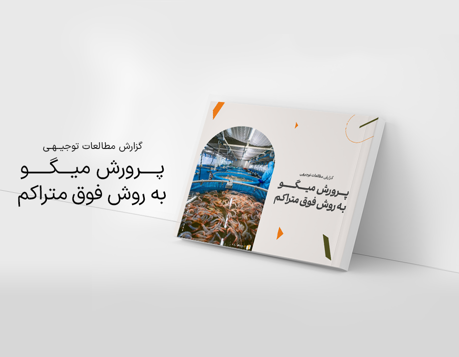 طرح توجیهی پرورش میگو به روش فوق متراکم