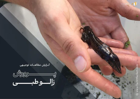 طرح توجیهی پرورش زالو طبی