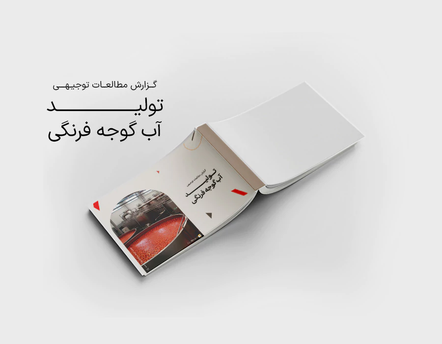 طرح توجیهی تولید آب گوجه فرنگی